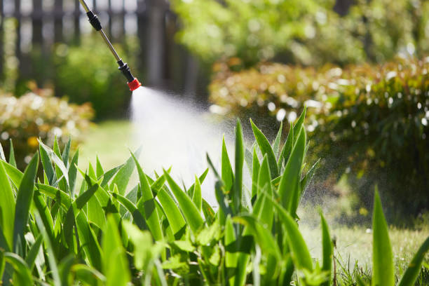 24/7 Emergency Ant Control experts in Buffalo, OK